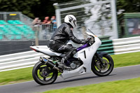 Lower Group White Bikes